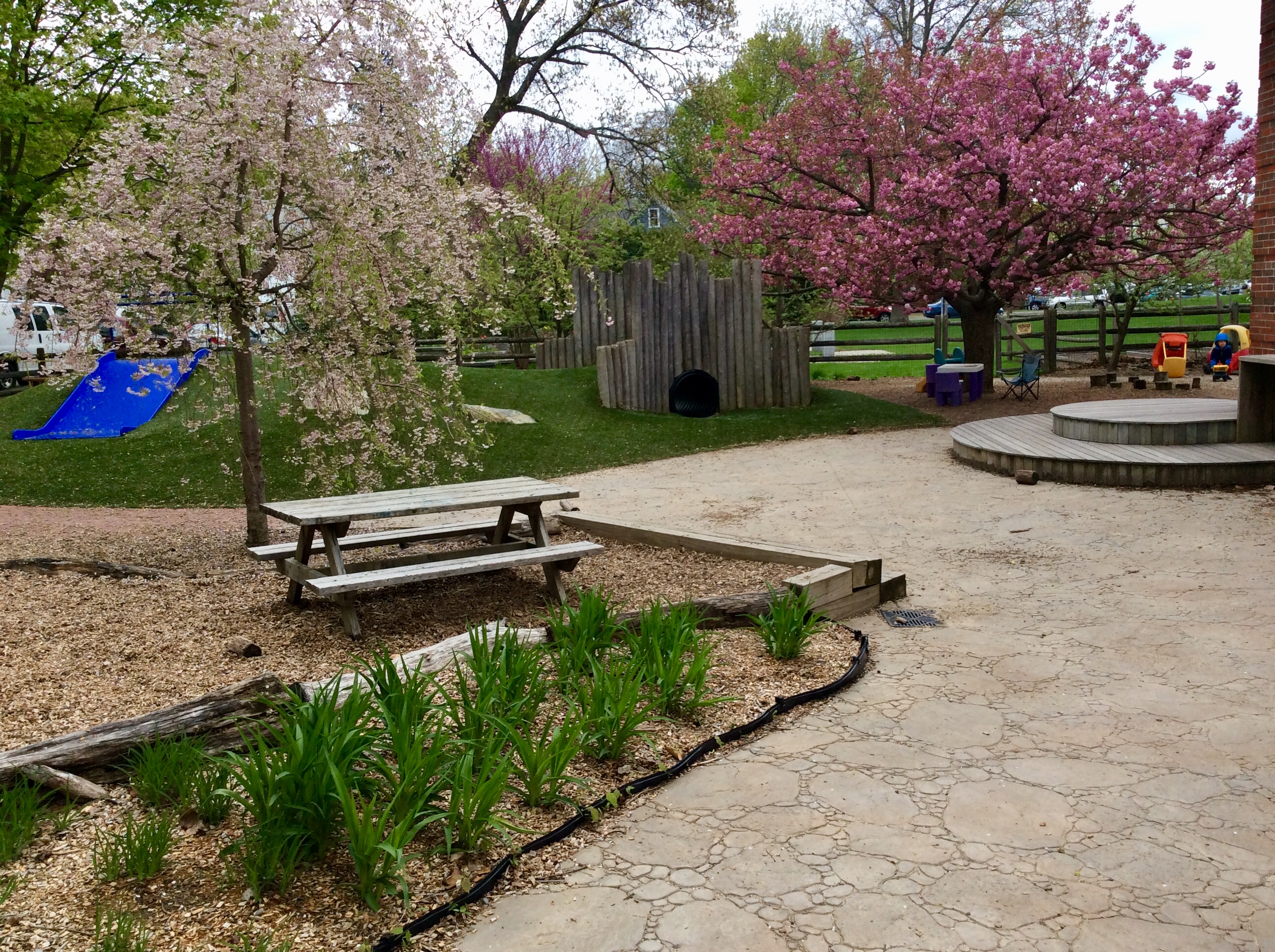 LPC nature-inspired playground overview